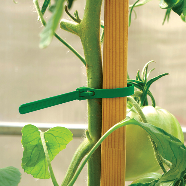 9a817fad6eba11f080be7cc255752819_9a930d516eba11f080be7cc255752819